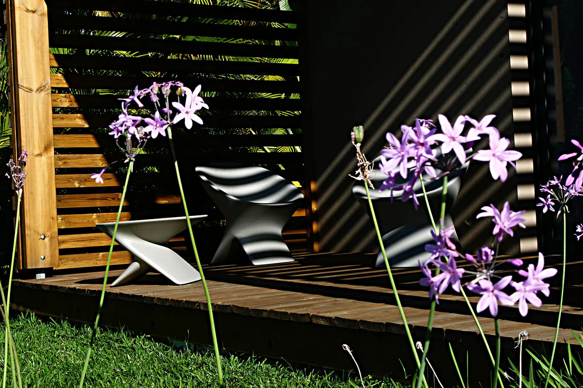 La terrasse privative en bois, ses bains de soleil et les fleurs d'agapanthe